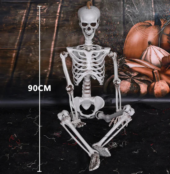 Realistic Halloween Skeleton Prop — 40×12 cm Mini Bone Model