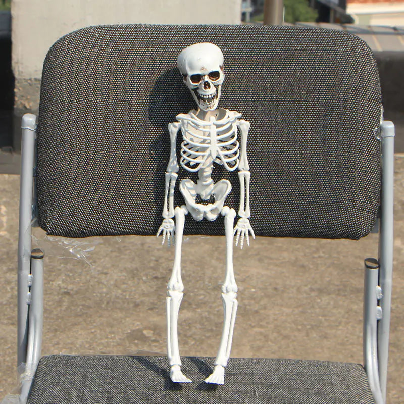 Realistic Halloween Skeleton Prop — 40×12 cm Mini Bone Model