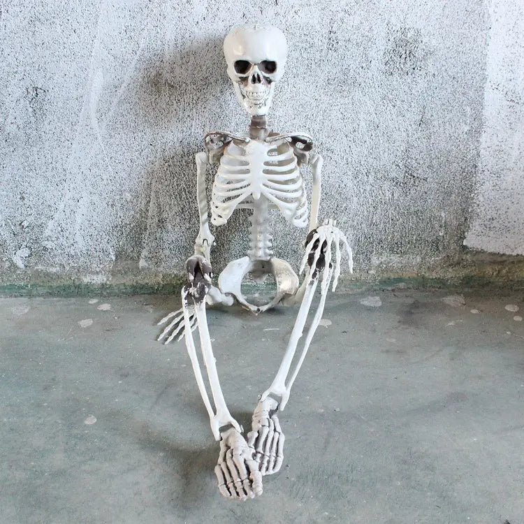 Realistic Halloween Skeleton Prop — 40×12 cm Mini Bone Model