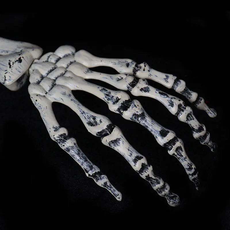 Garden Skeleton Trio — Skull & Buried Hands Set | Halloween Yard Décor