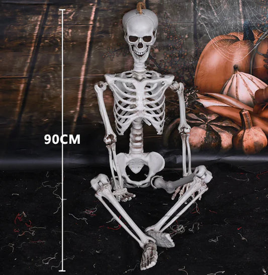 Realistic Halloween Skeleton Prop — 40×12 cm Mini Bone Model