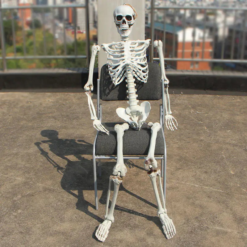 Realistic Halloween Skeleton Prop — 40×12 cm Mini Bone Model