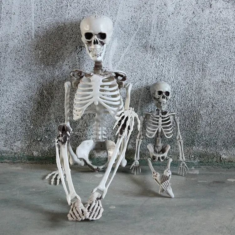Realistic Halloween Skeleton Prop — 40×12 cm Mini Bone Model
