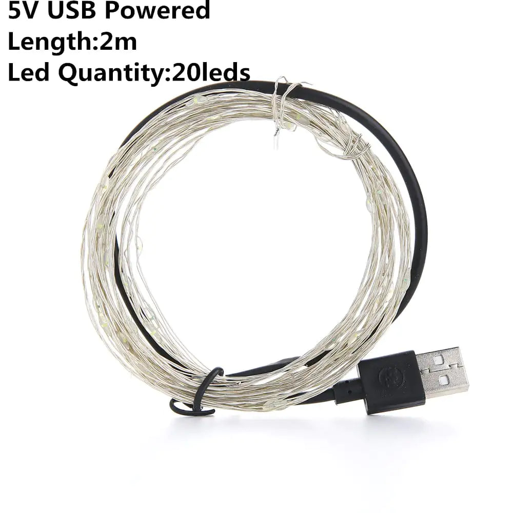 USB/ Battery LED String Lights — Silver Wire Fairy Lights | Halloween Décor