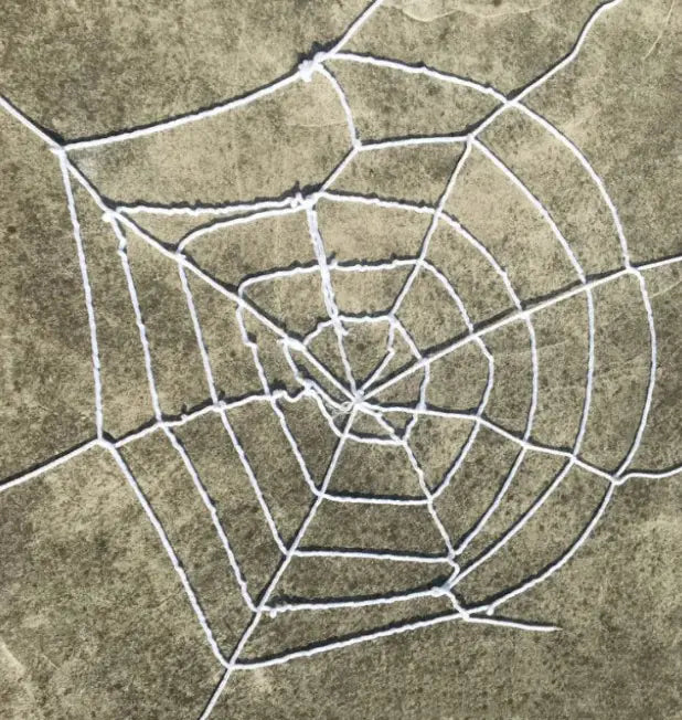 Giant Plush Spider & Web Set: The Ultimate Halloween Decor
