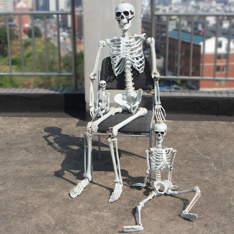 Realistic Halloween Skeleton Prop — 40×12 cm Mini Bone Model