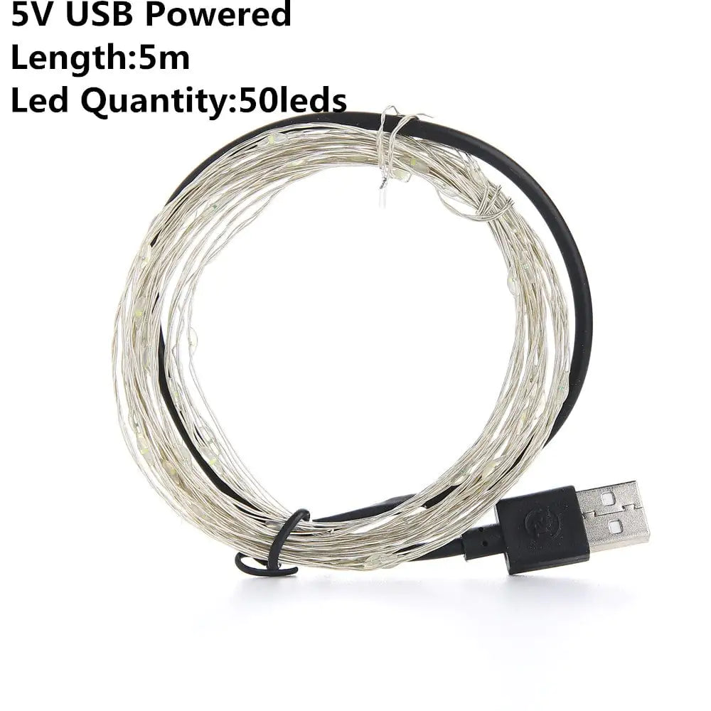 USB/ Battery LED String Lights — Silver Wire Fairy Lights | Halloween Décor