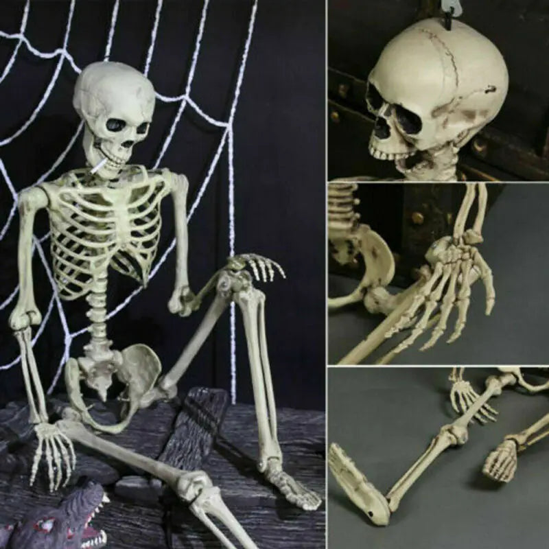 Realistic Halloween Skeleton Prop — 40×12 cm Mini Bone Model