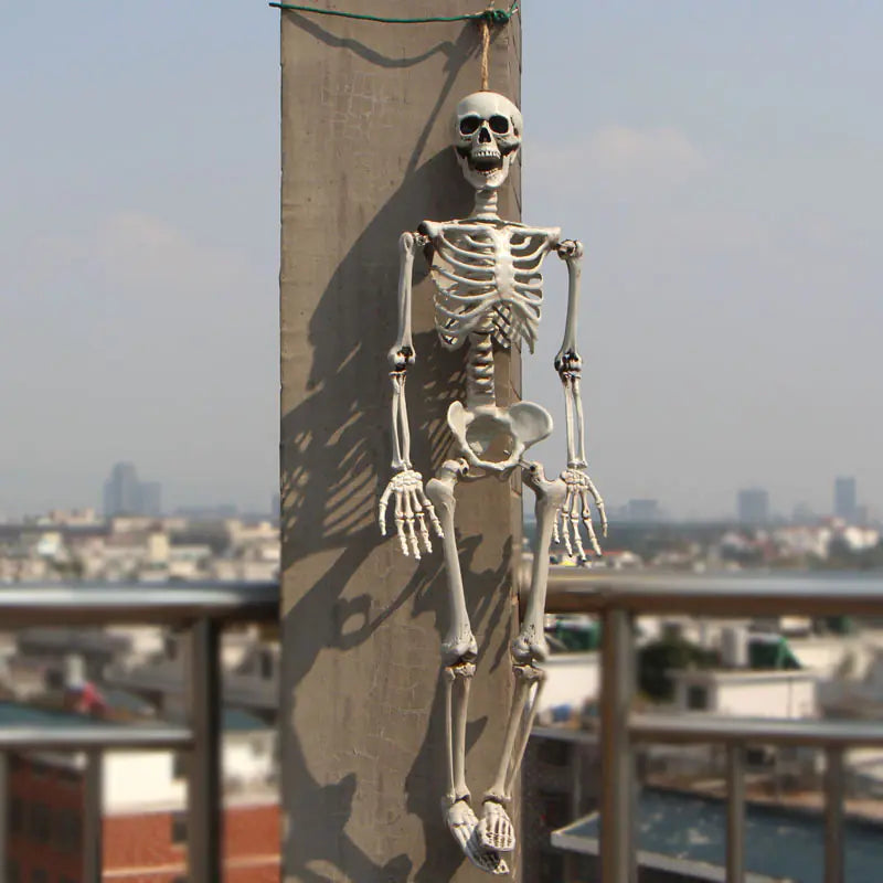 Realistic Halloween Skeleton Prop — 40×12 cm Mini Bone Model