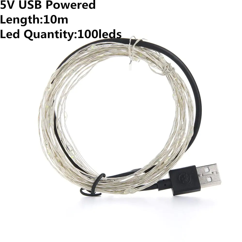 USB/ Battery LED String Lights — Silver Wire Fairy Lights | Halloween Décor